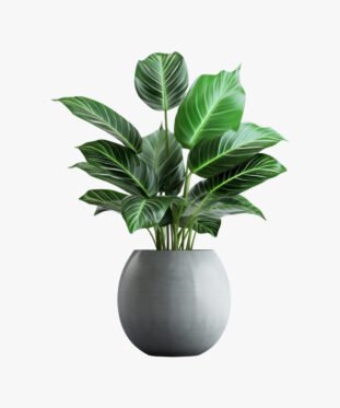 Deep Jungle Wukoku Tall Fake Plants